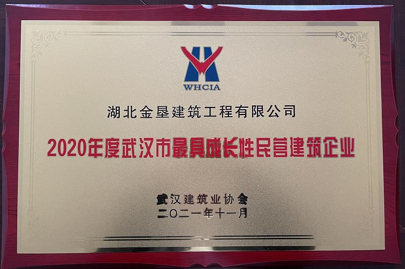 2020年度武漢市最具成長性民營建筑企業
